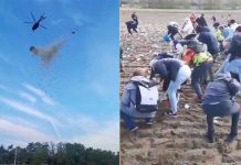 Чех-дивак розкидав мільйон доларів з гелікоптера: кому дозволили збирати грошові купюри З гелікоптера розкидали гроші на поле